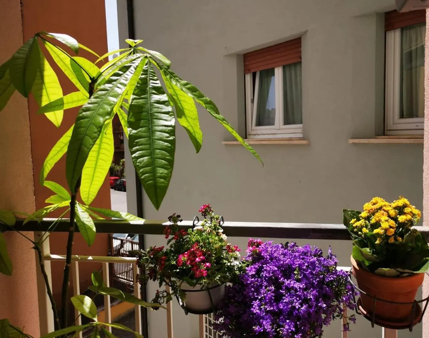 Apuleio 11 Apartment Rome
